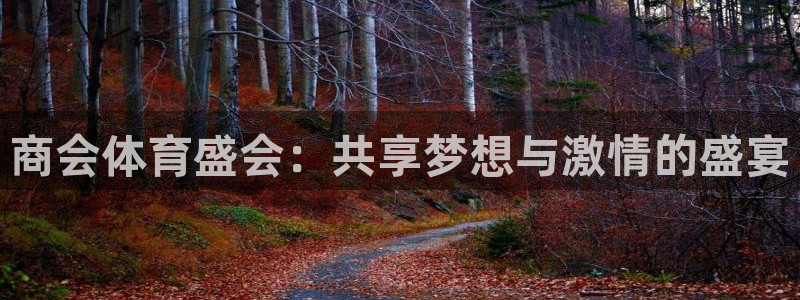 哈哈体育：商会体育盛会：共享梦想与激情的盛宴