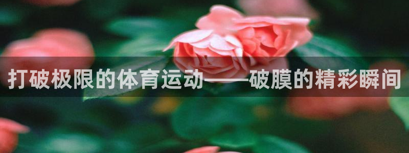 哈哈体育十年：打破极限的体育运动——破膜的精彩瞬间