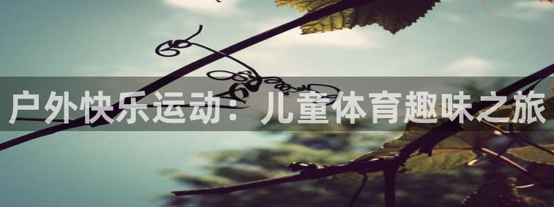 哈哈体育十年：户外快乐运动：儿童体育趣味之旅