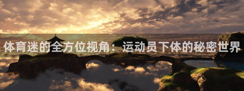 哈哈体育十年：体育迷的全方位视角：运动员下体的秘密世界