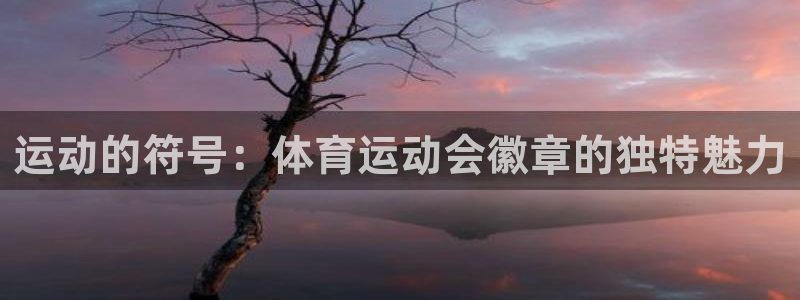 哈哈体育下载：运动的符号：体育运动会徽章的独特魅力