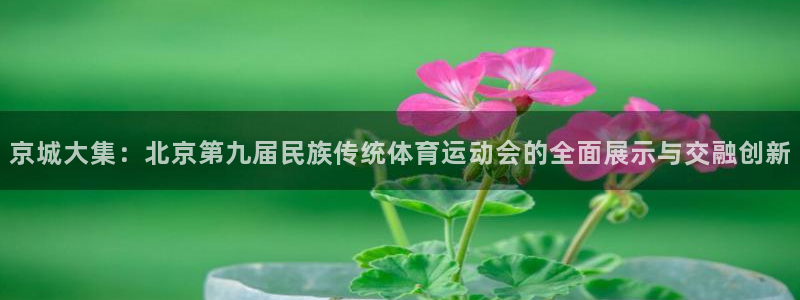 哈哈体育十年：京城大集：北京第九届民族传统体育运动会的全面展示与交融创新