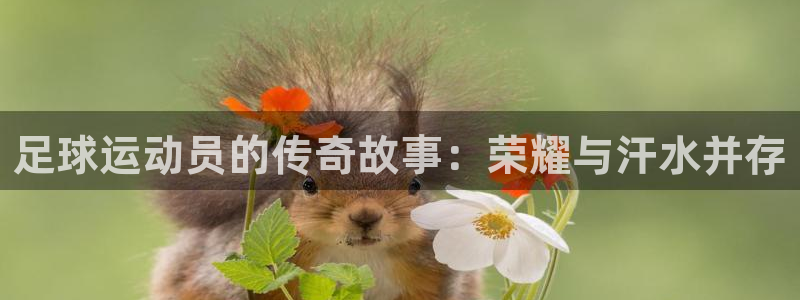 哈哈体育：足球运动员的传奇故事：荣耀与汗水并存