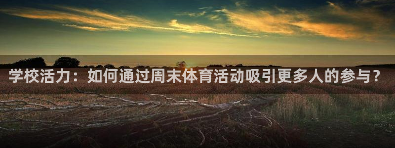 哈哈体育十年：学校活力：如何通过周末体育活动吸引更多人的参与？