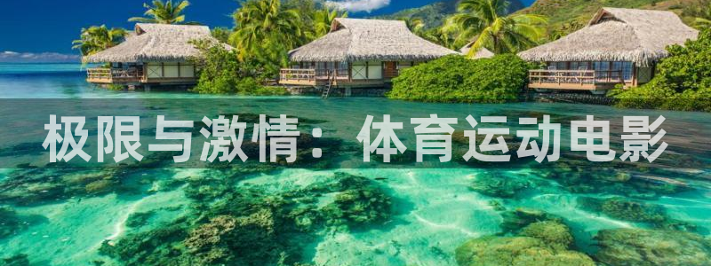 哈哈体育十年：极限与激情：体育运动电影